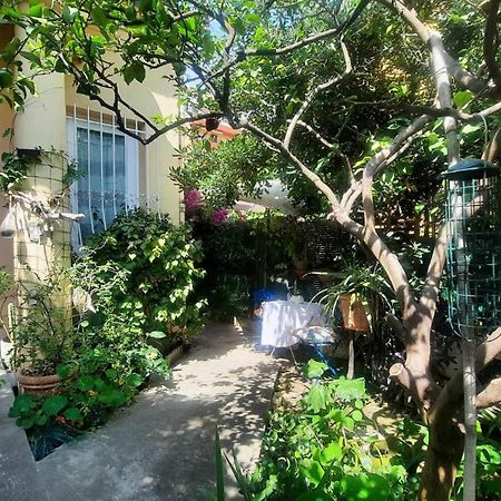 Les Violettes Lägenhet Menton Exteriör bild