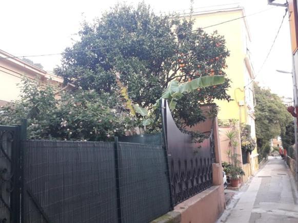 Les Violettes Lägenhet Menton Exteriör bild