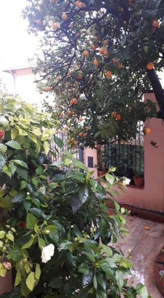 Les Violettes Lägenhet Menton Exteriör bild